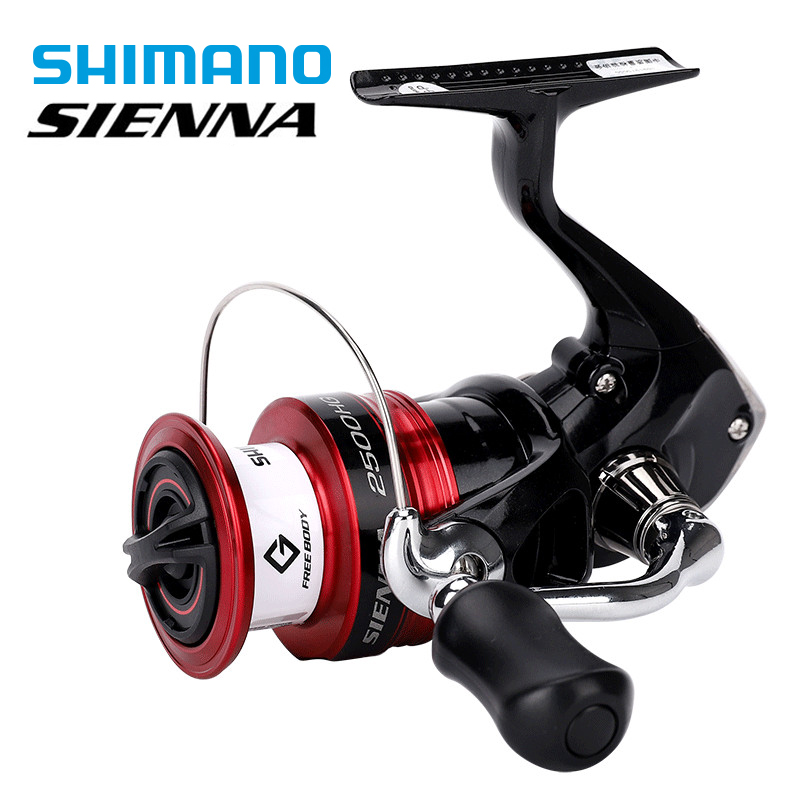 Daiwa Reel Bg - Carrete de pesca giratorio SHIMANO SIENNA